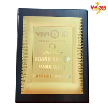 Bảng khen tặng nhà phân phối mạnh nhất -