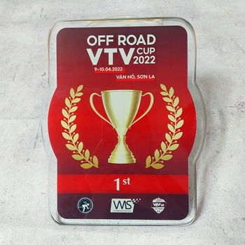 Kỷ niệm chương VTV Cup 2022 -