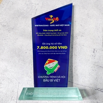 Kỷ niệm chương chương trình xã hội Bầu Bí Việt -