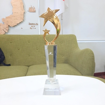 Kỷ niệm chương ngôi sao -