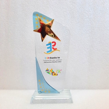 Kỷ niệm chương ESR -