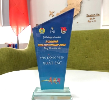 Kỷ niệm chương VĐV -