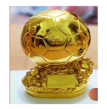 Kỷ niệm chương trái bóng -