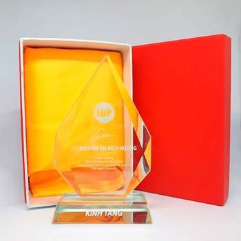 Kỷ niệm chương IDP -