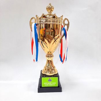 Cup đồng giải đạp xe -