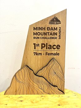 Kỷ niệm chương gỗ Minh Đạm -