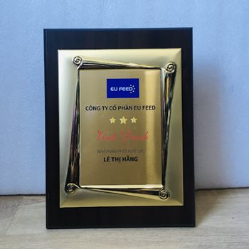 Bảng Vinh Danh 12 -