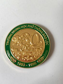 Huy hiệu cài áo số 30 -