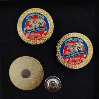 Huy hiệu cài áo số 173 -